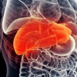 New Compound Safeguards Liver Post-Major Intestinal Surgery