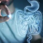 Scientists Reverse Gut Aging Signs Through Unexpected Biological Transfer