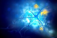 New Alzheimer’s Drug Target Found to Reduce Brain Plaques