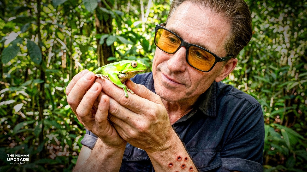 The Hidden Realm of Frog Venom Ceremonies