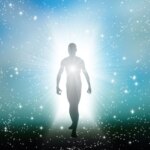 Overlooked Organ May Unlock Secrets to Longer Life, Say Scientists
