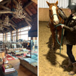 A Week on a ‘Yellowstone’ Ranch: My Body’s Response