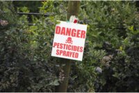 Rethinking Pesticides and Cancer: New Study Questions Safe Levels