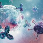 New Molecules May Transform Lupus and Arthritis Treatments