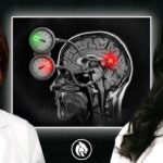 How Chronic Pain Changes Brain Function | Dr. Susan Macdonald