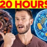 What 20 Hours Without Food Does to Cellular Repair