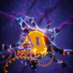 Longevity Gene May Safeguard Brain Against Aging and Dementia