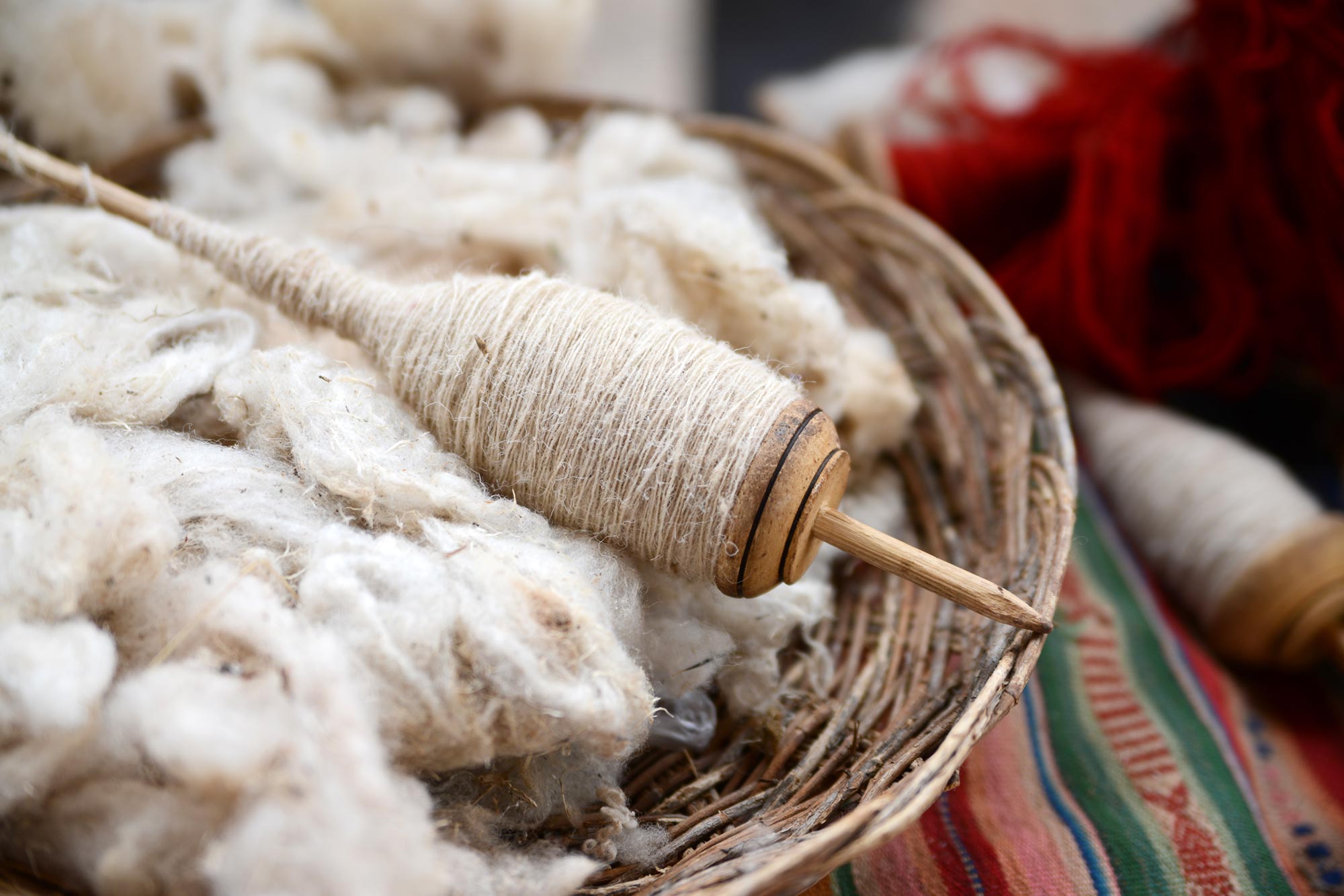Scientists Convert Wool Into Bone-Healing Material Breakthrough