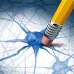 Scientists Discover Simple Supplement That Reduces Alzheimer’s Damage