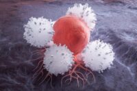New Method Nourishes Immune Cells Without Promoting Cancer