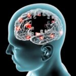 Scientists Uncover Link Between Obesity and Alzheimer’s Disease
