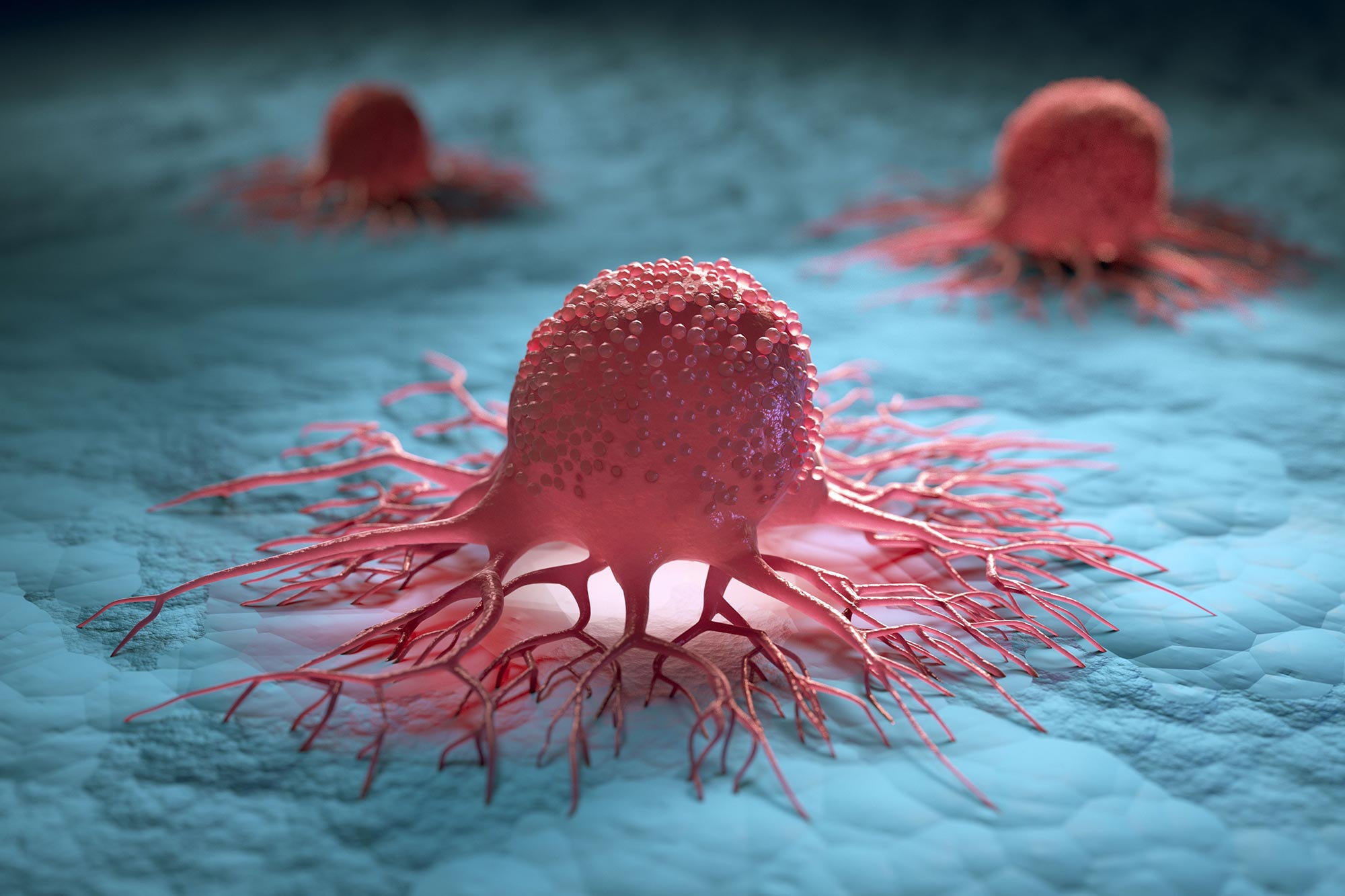 Cancer Mystery Unveiled: How Melanoma Achieves Immortality