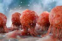 Scientists Uncover Surprising Method of T Cell Cancer Destruction