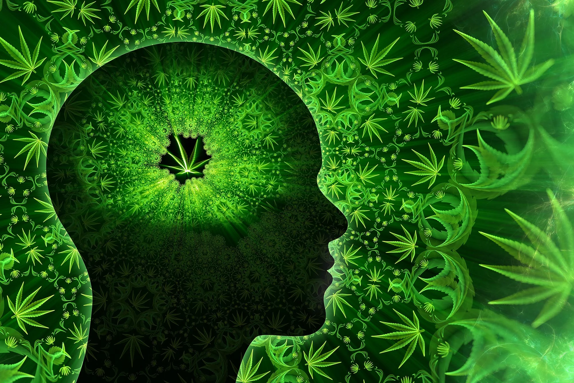 Cannabis and Memory: Remembering Events That Never Occurred