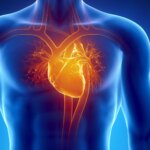 Exercise Alters Heart Health in Unexpected Ways, Say Researchers