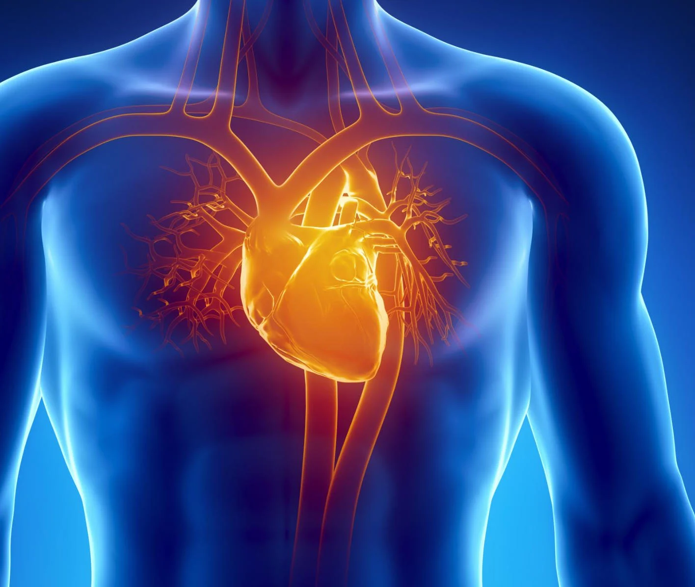 Exercise Alters Heart Health in Unexpected Ways, Say Researchers