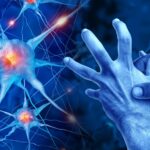 Scientists May Have Uncovered Parkinson’s Disease Brain Spread