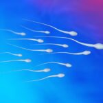 Male Birth Control Breakthrough: Controlling Sperm Production