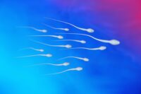 Male Birth Control Breakthrough: Controlling Sperm Production