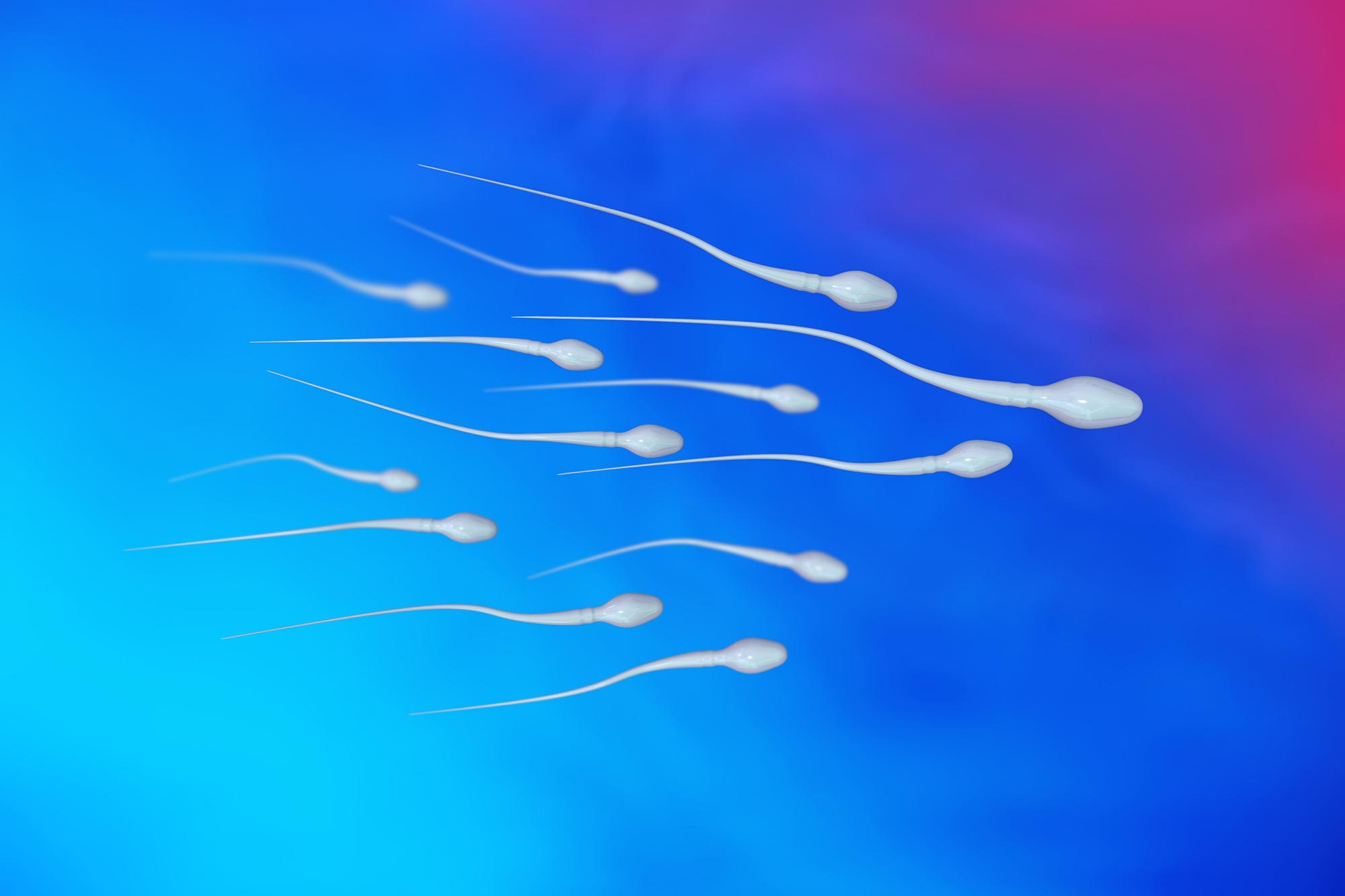 Male Birth Control Breakthrough: Controlling Sperm Production