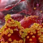 Researchers Find Natural Compound That Neutralizes Superbug
