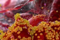 Researchers Find Natural Compound That Neutralizes Superbug