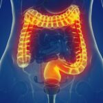 Scientists Discover Immune System Switch to Halt Gut Inflammation
