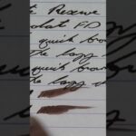 Private Reserve Fast Dry Chocolate Ink Review: #FountainPens