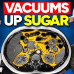 Insulin Resistance Solutions for Those Over 40