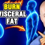 The Quickest Method to Reduce Visceral Fat