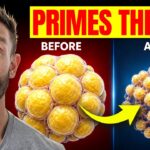 Boost Autophagy and Reduce Fat Cells: Pre-Fasting Tips