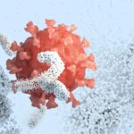 Scientists Uncover How Antibodies Attack Viruses
