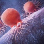 New Study Uncovers Surprising Method to Eradicate Pancreatic Cancer Cells