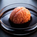 Mini Brain Organoids Reveal Key Biological Differences in Alzheimer’s