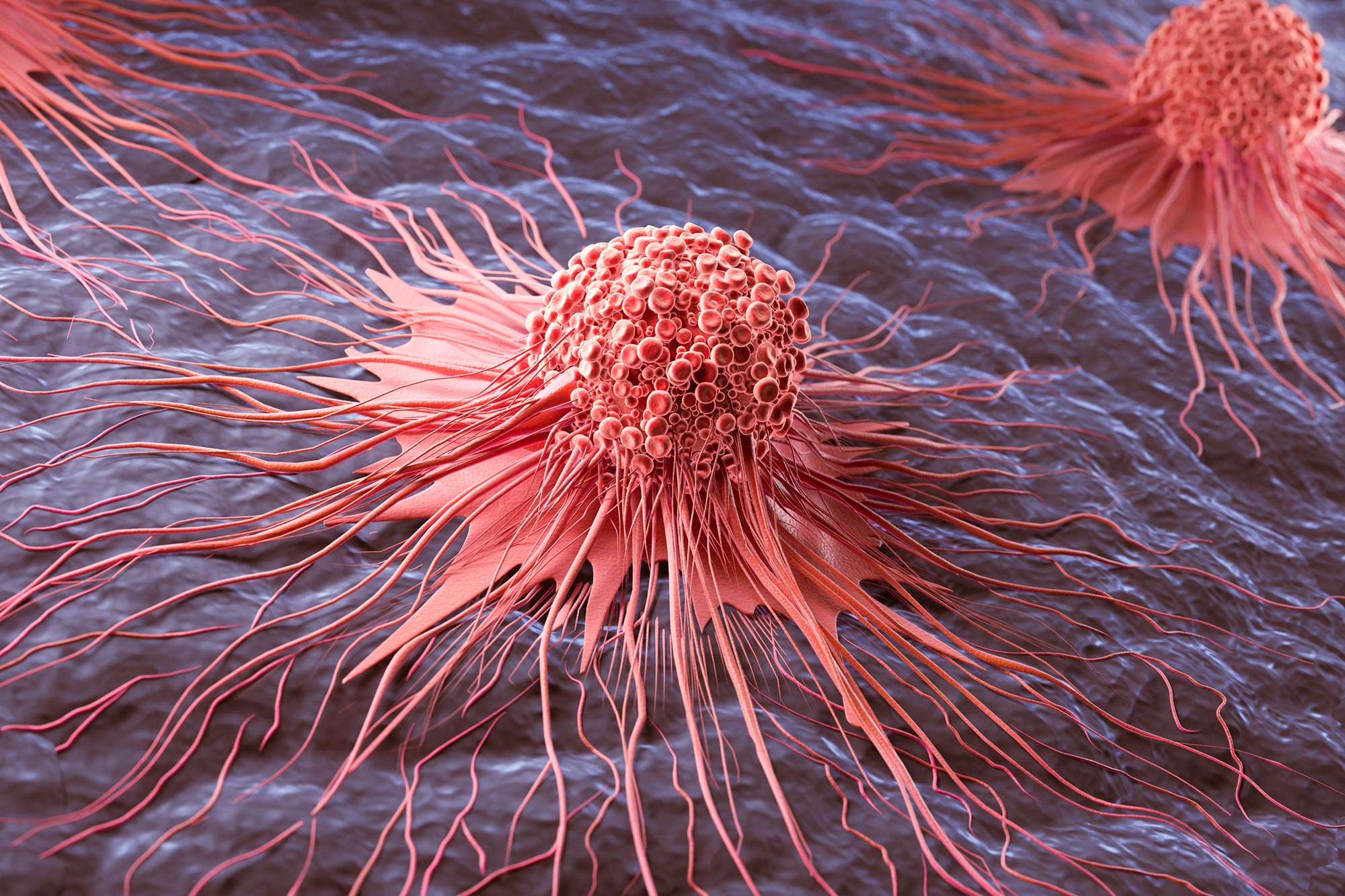 Uncovering Hidden Triggers for Deadly Cancers: Research Insights