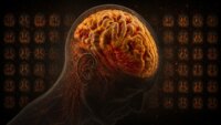 17,000 Brain Scans Uncover Ethnic Variations in Alzheimer’s Biology