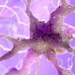 Cambridge Scientists Reverse Previously Irreversible Nerve Damage