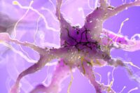 Cambridge Scientists Reverse Previously Irreversible Nerve Damage
