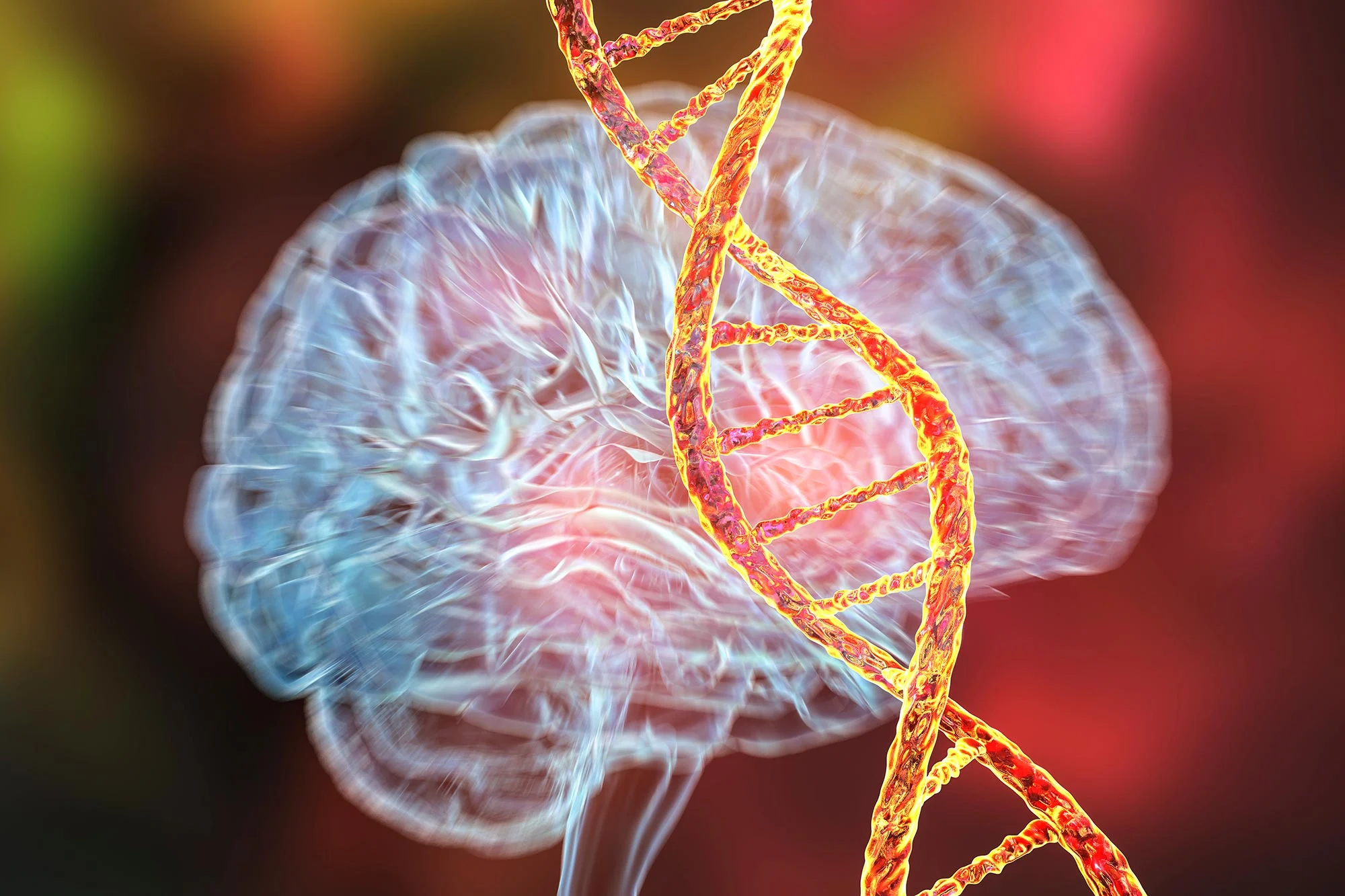 Early Brain Changes Linked to Alzheimer’s Detected Decades Ahead