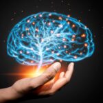 Scientists Reveal New Insights on the Aging Brain