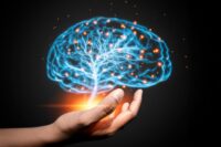 Scientists Reveal New Insights on the Aging Brain