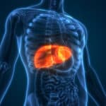 Scientists Develop Mini Livers That May Replace Transplants