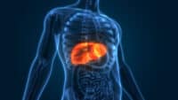 Scientists Develop Mini Livers That May Replace Transplants