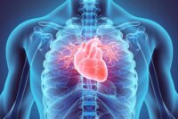 Your Diet May Lack Essential Ingredient for Heart Health