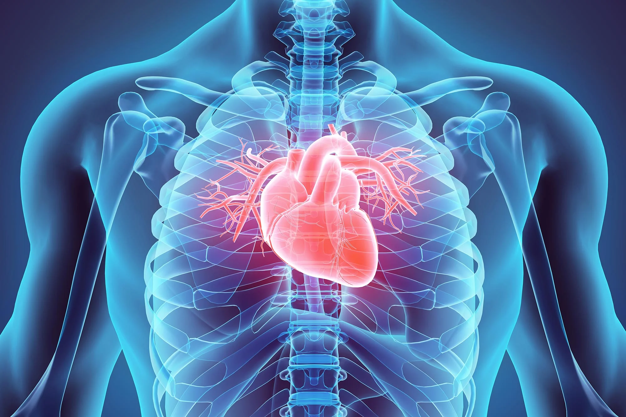 Your Diet May Lack Essential Ingredient for Heart Health