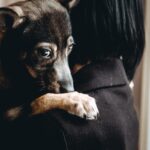 Science Challenges Common Myths About Pets and Stress