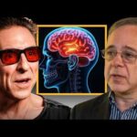 Boost Your Brain Health as You Age