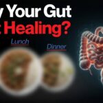 Gut Healing: Natural Fixes and Foods for a Healthy Gut