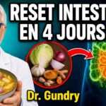 Ultimate 4-Day Gut Reset by Dr. Steven Gundry