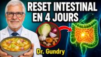 Ultimate 4-Day Gut Reset by Dr. Steven Gundry